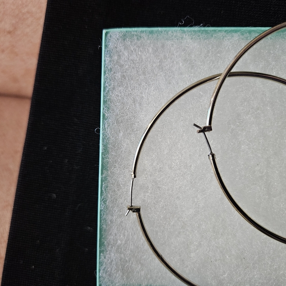 Betsey Johnson Large Owl Hoop Earrings - Picture 4 of 4